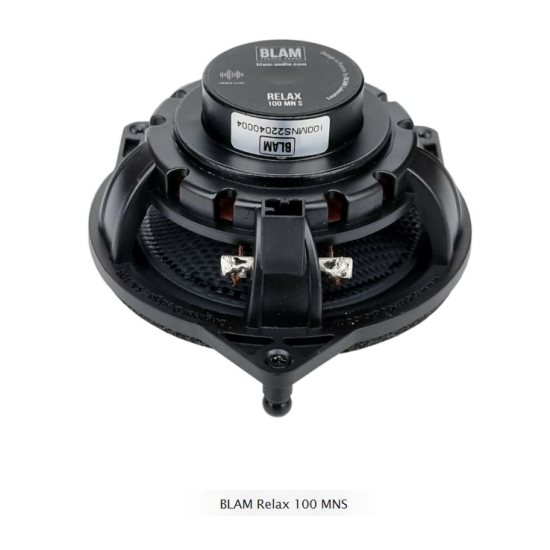 BLAM Relax 100 MNS Dwudrożny zestaw głośników o średnicy woofera 100mm, mocy 40W RMS dedykowany do samochodów Mercedes-Benz